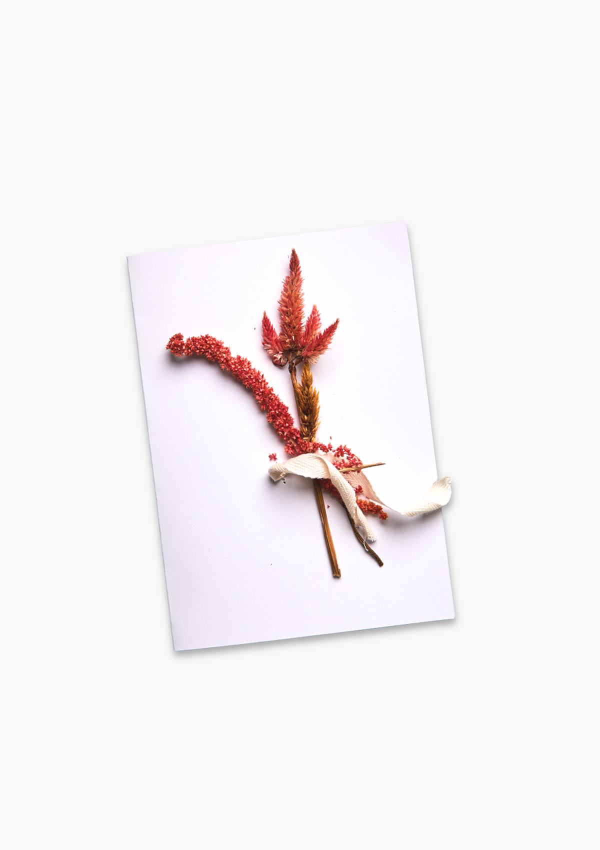 Dried flowers and leaves on a white card with a white background